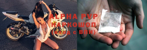 шишки Арсеньев