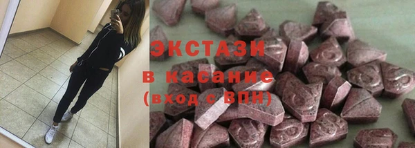 шишки Арсеньев