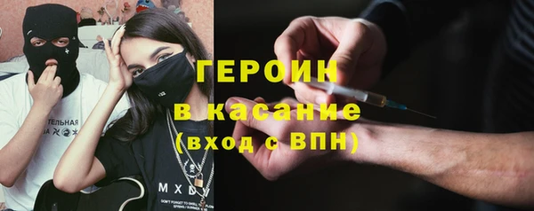 шишки Арсеньев