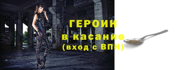шишки Арсеньев