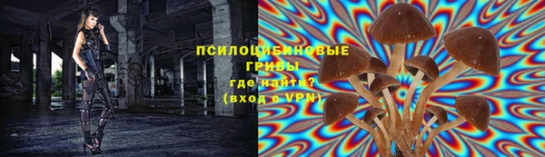 шишки Арсеньев