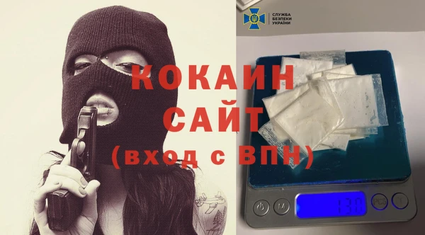 шишки Арсеньев